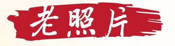 特刊 | 让历史告诉未来【中流砥柱篇】之党的领导