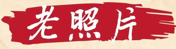 特刊 | 让历史告诉未来【中流砥柱篇】之依法治理
