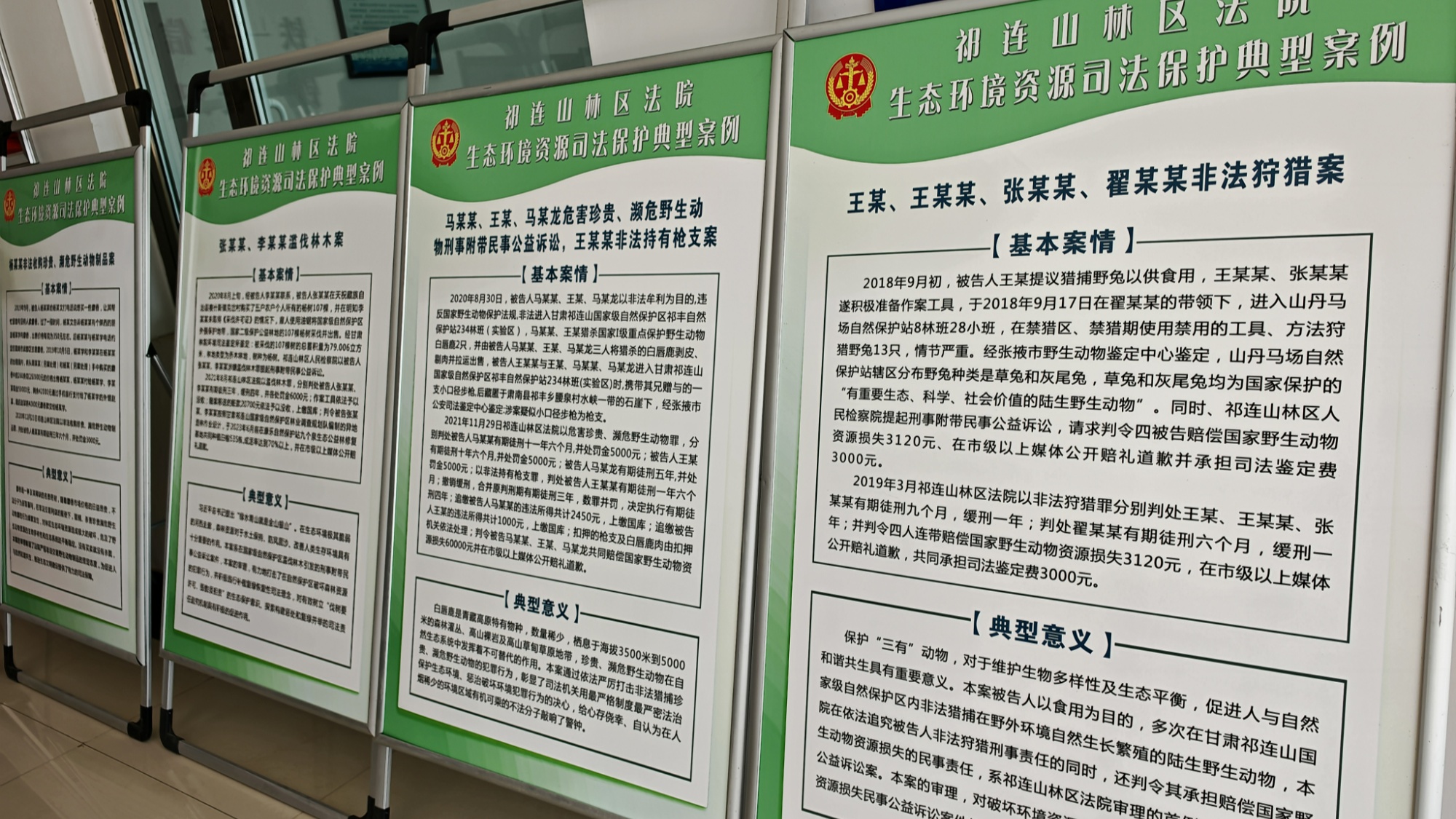 e法耀陇原 | 天光染绿处 法治护祁连