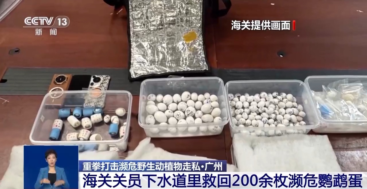 重拳打击走私犯罪 海关总署查获濒危野生动植物制品479吨