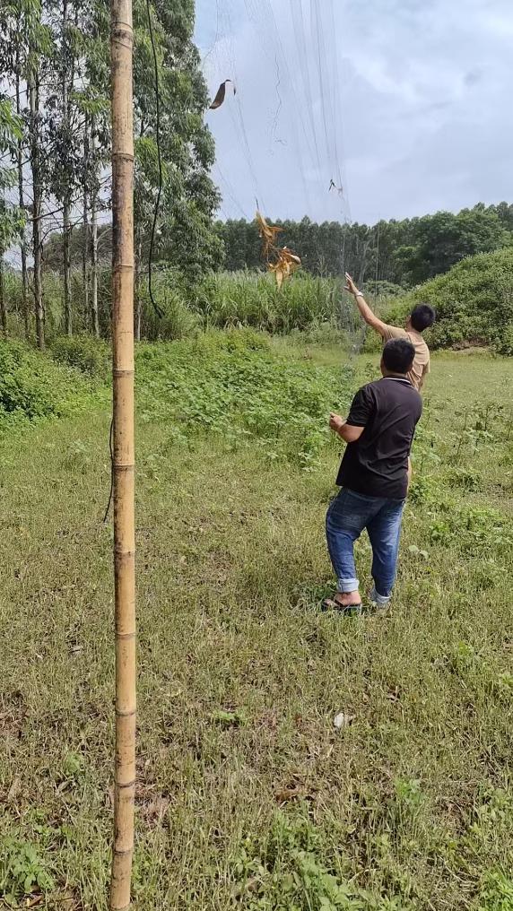 拍案丨巧设网者终自缚 跨省护鸟机制织密“法网”