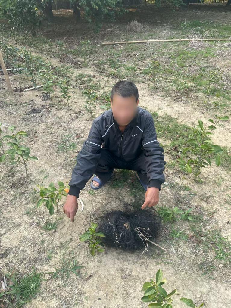 拍案丨巧设网者终自缚 跨省护鸟机制织密“法网”