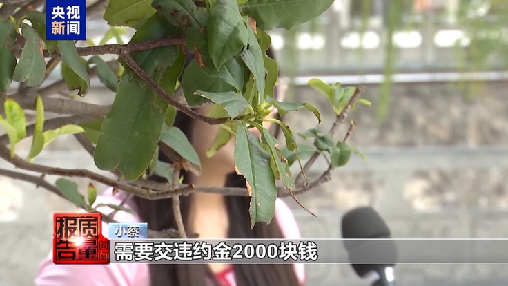 每周质量报告丨高薪兼职是假、骗人贷款是真 起底“免费培训”背后套路