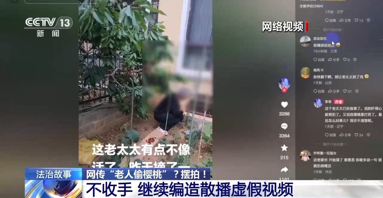 “老人偷樱桃”?摆拍!警方已依法查处
