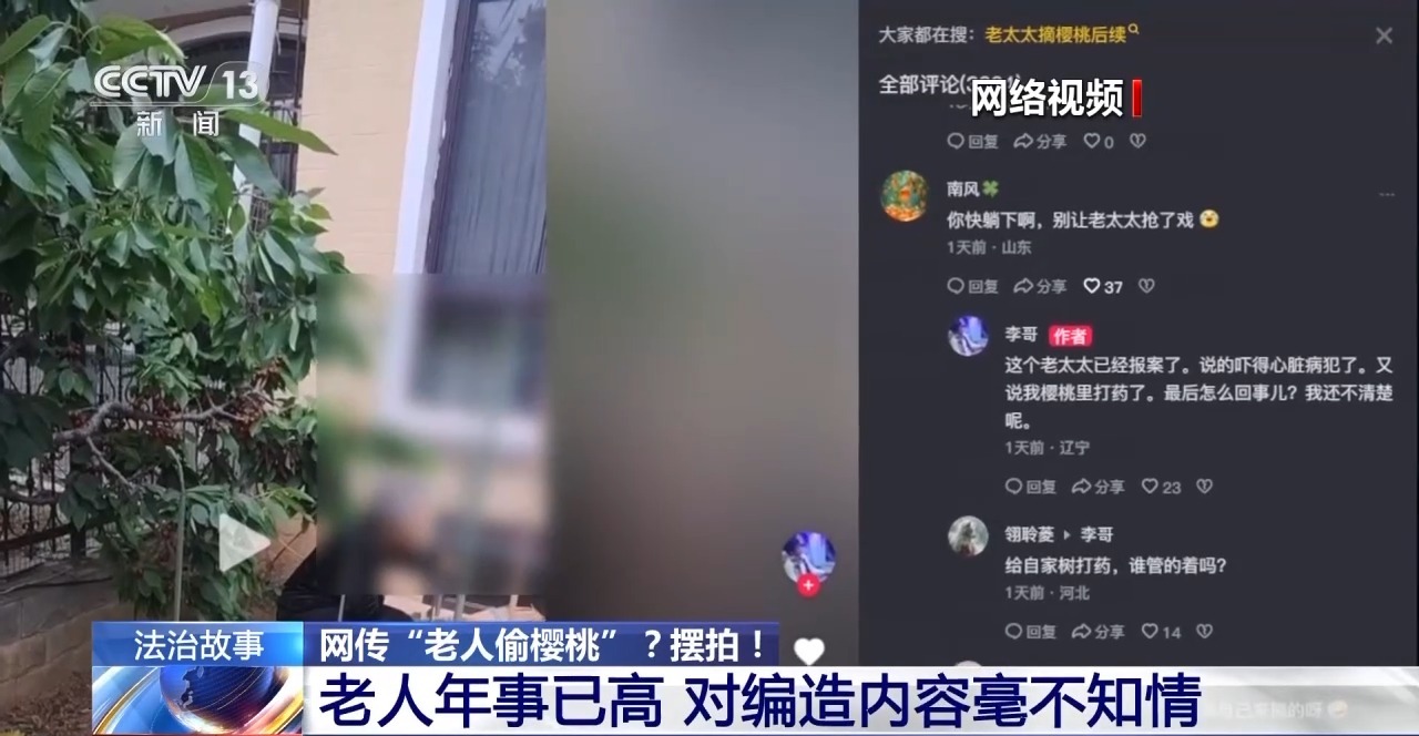 “老人偷樱桃”?摆拍!警方已依法查处