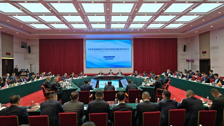 预防和打击电信网络诈骗 以更大力度清除“毒瘤”