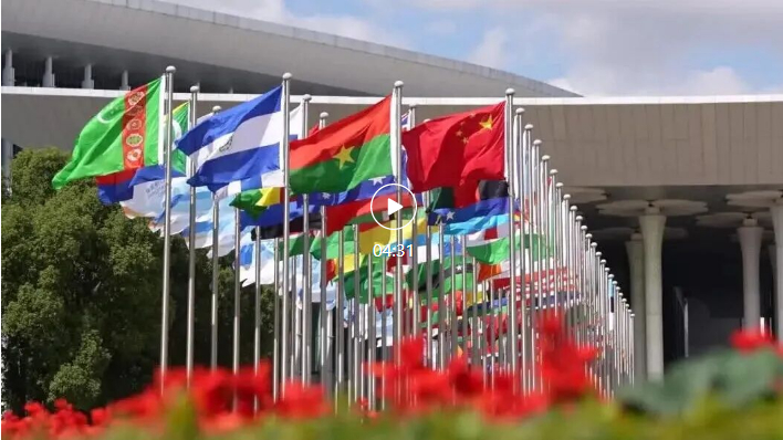 外企当事人说：平等