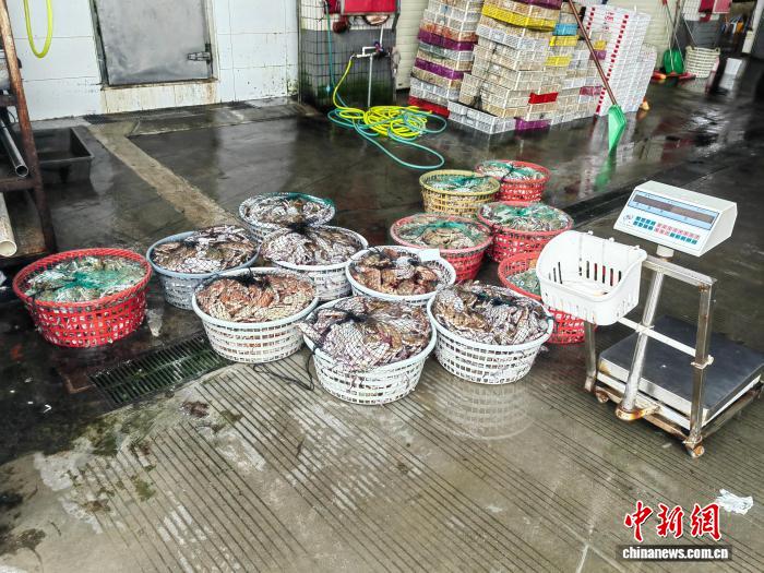 流窜闽粤两省作案 广东海警抓获非法获利数百万元犯罪团伙