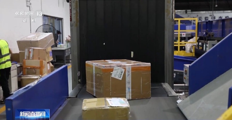 申报家具变“咖啡”?海关连续查获藏匿走私大麻和大麻种子案件