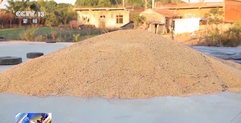 新型“购粮洗钱”骗局曝光 警方提醒