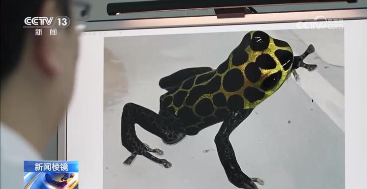 “个性伙伴”成“致命威胁” 严打“异宠”非法入境