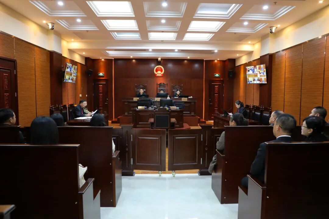 宁德中院举行宪法宣誓暨代表委员开放日活动