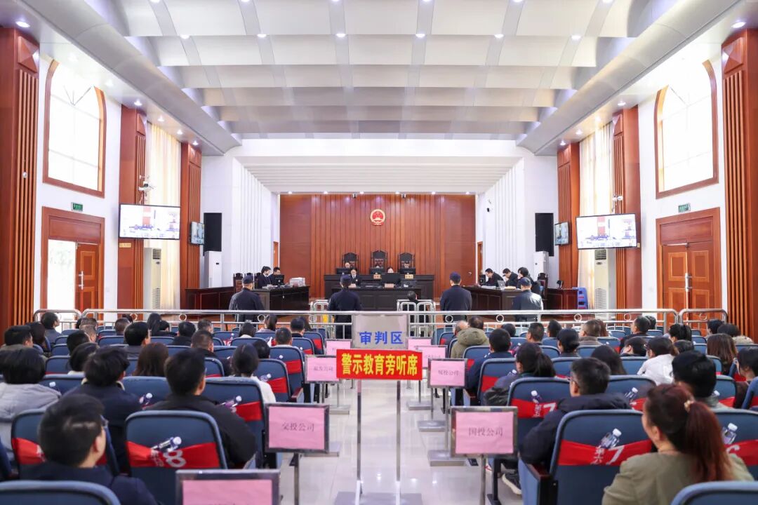 让公平正义在山海闽东落地有声——2025年宁德中院工作综述