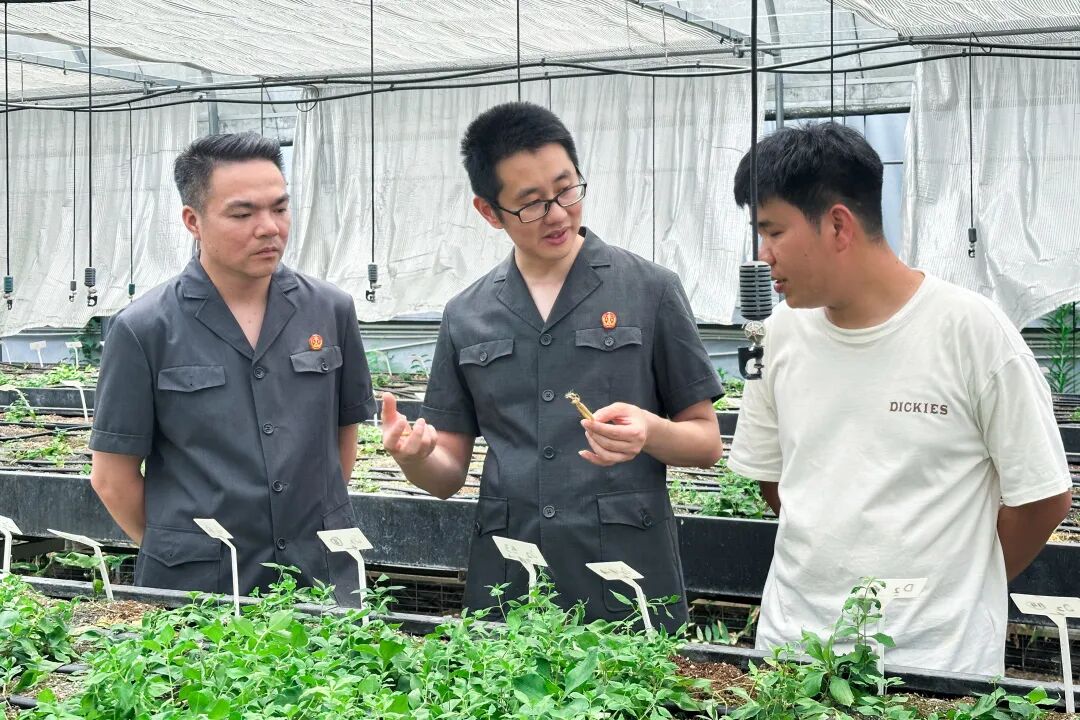 让公平正义在山海闽东落地有声——2025年宁德中院工作综述