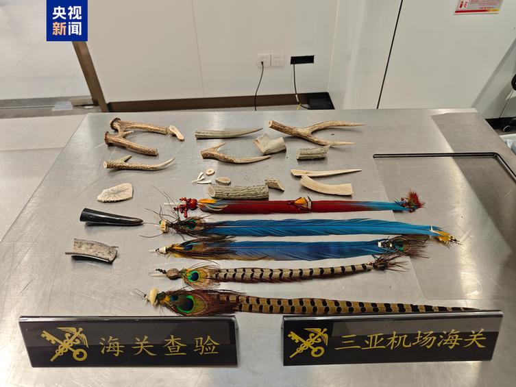 禁止非法携带!三亚机场海关查获多件保护野生动物制品