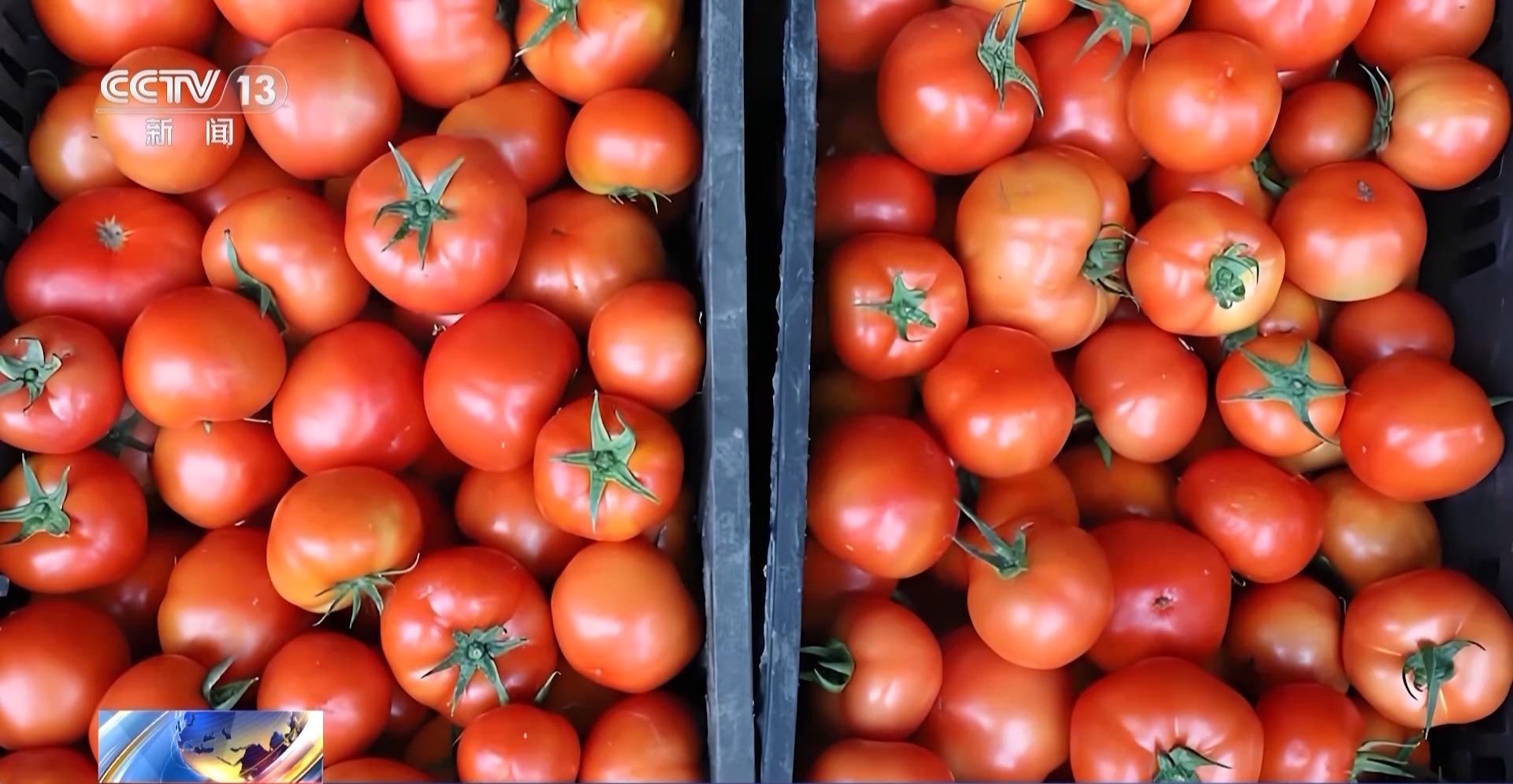 税务突检 揭秘税法“守门人”何以成偷税“操盘手”