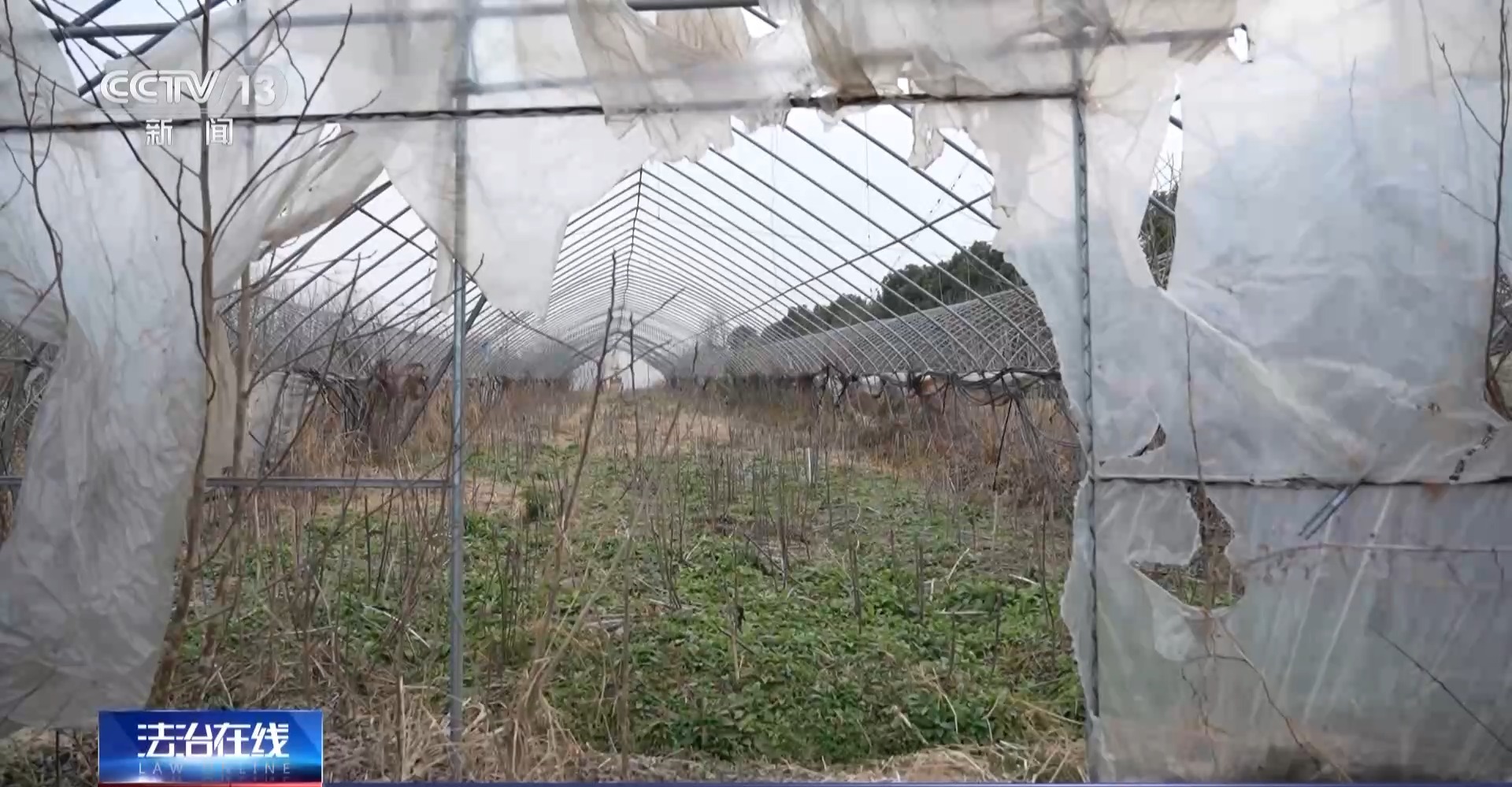 税务突检 揭秘税法“守门人”何以成偷税“操盘手”