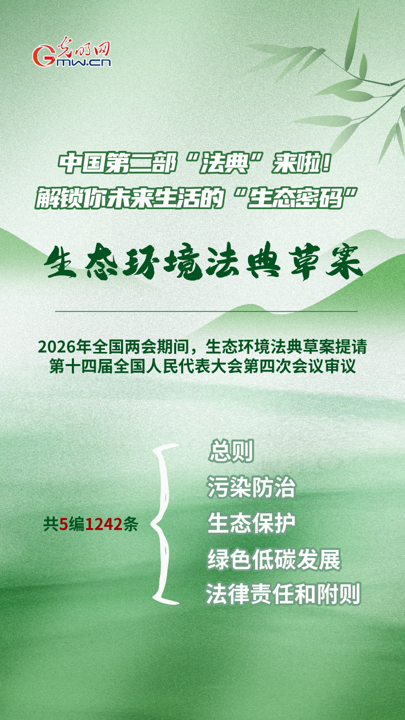 AI 海报·划重点 | 中国第二部“法典”来啦！为你解锁未来生活的“生态密码”