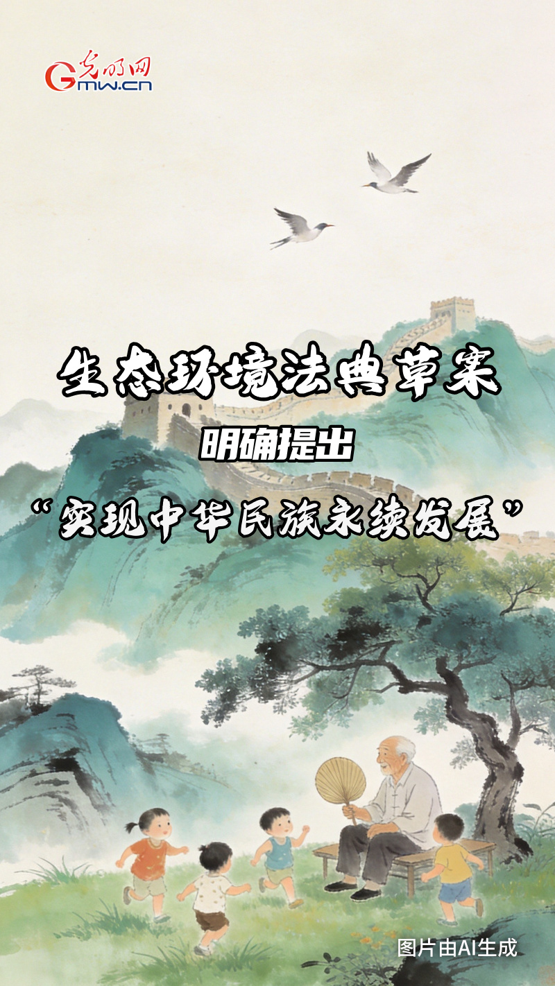 AI 海报·划重点 | 中国第二部“法典”来啦！为你解锁未来生活的“生态密码”