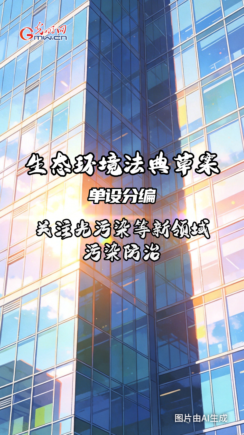 AI 海报·划重点 | 中国第二部“法典”来啦！为你解锁未来生活的“生态密码”