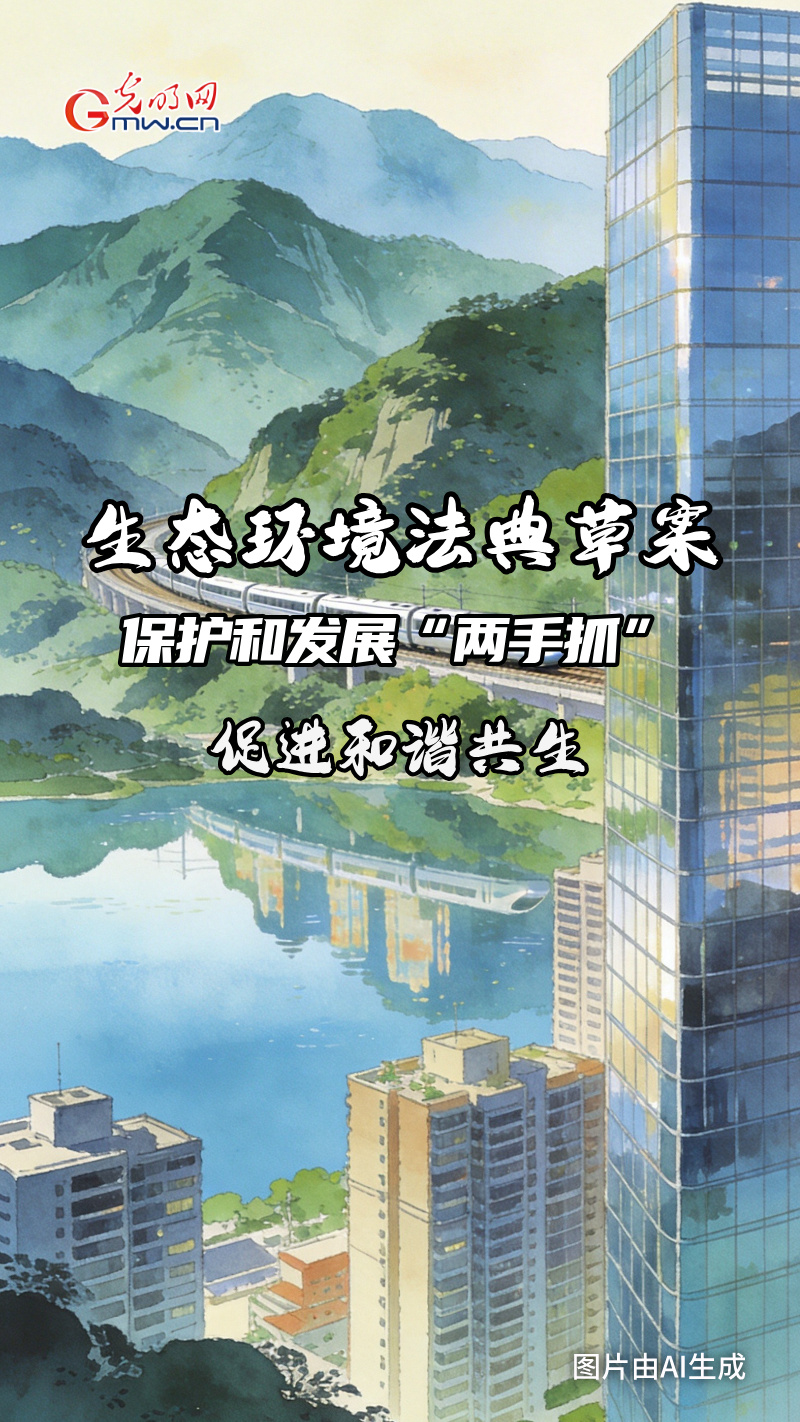 AI 海报·划重点 | 中国第二部“法典”来啦！为你解锁未来生活的“生态密码”