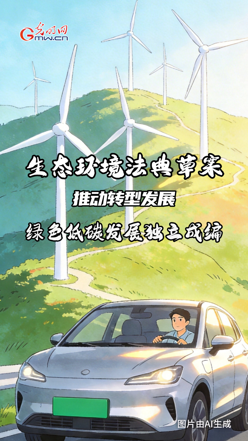 AI 海报·划重点 | 中国第二部“法典”来啦！为你解锁未来生活的“生态密码”