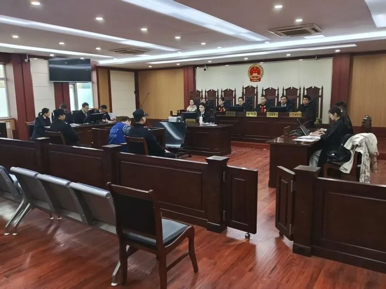 猎捕 “三有” 保护动物牟利?山东省临沂市兰山区人民法院:刑民追责 + 生态修复!