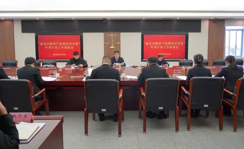 云南红河州法院七项举措推进“盘活沉睡资产 助推经济发展”专项行动 云南高院、红河两级法院执行局长面对面共商专项行动举措.JPG