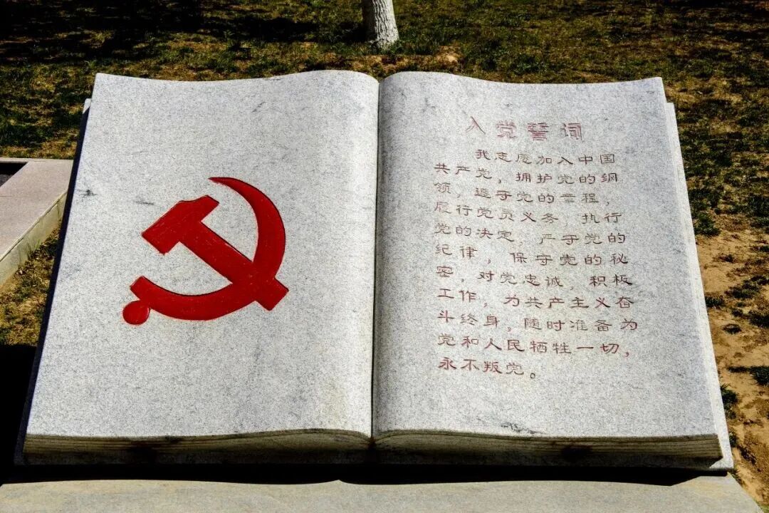 七一特辑 | 真情告白,献给党!