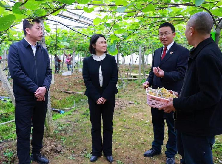 山河为卷 检察作笔 湘西检察的丈量之路 山河为卷 检察作笔 湘西检察的丈量之路