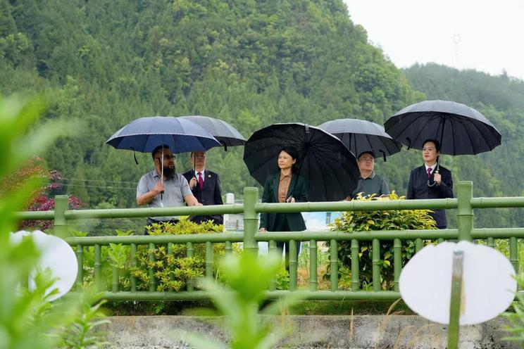 山河为卷 检察作笔 湘西检察的丈量之路 山河为卷 检察作笔 湘西检察的丈量之路