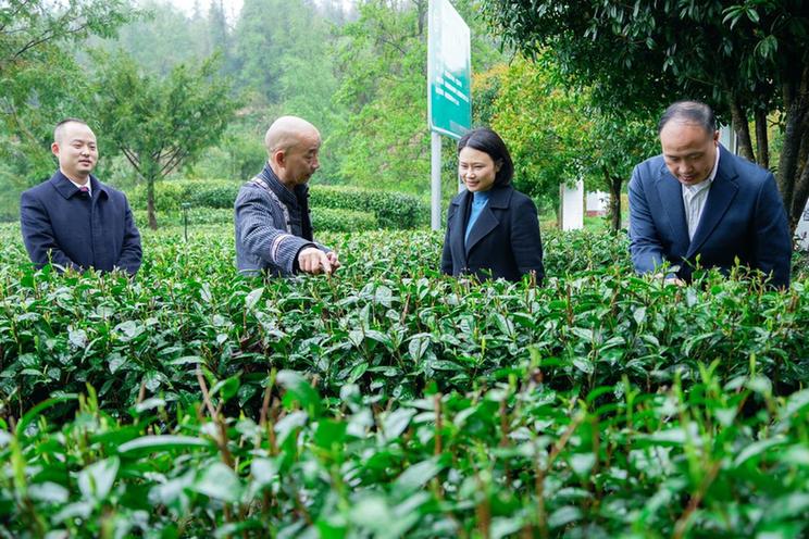 山河为卷 检察作笔 湘西检察的丈量之路 山河为卷 检察作笔 湘西检察的丈量之路