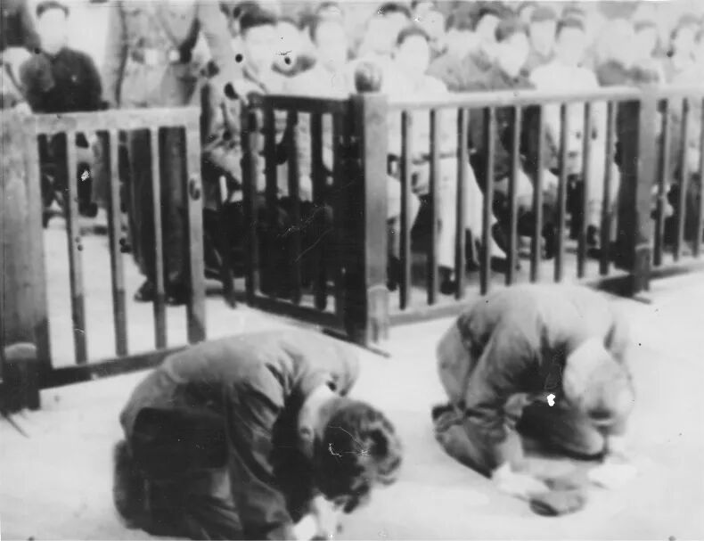 70年前的今天,新中国首审日本战犯