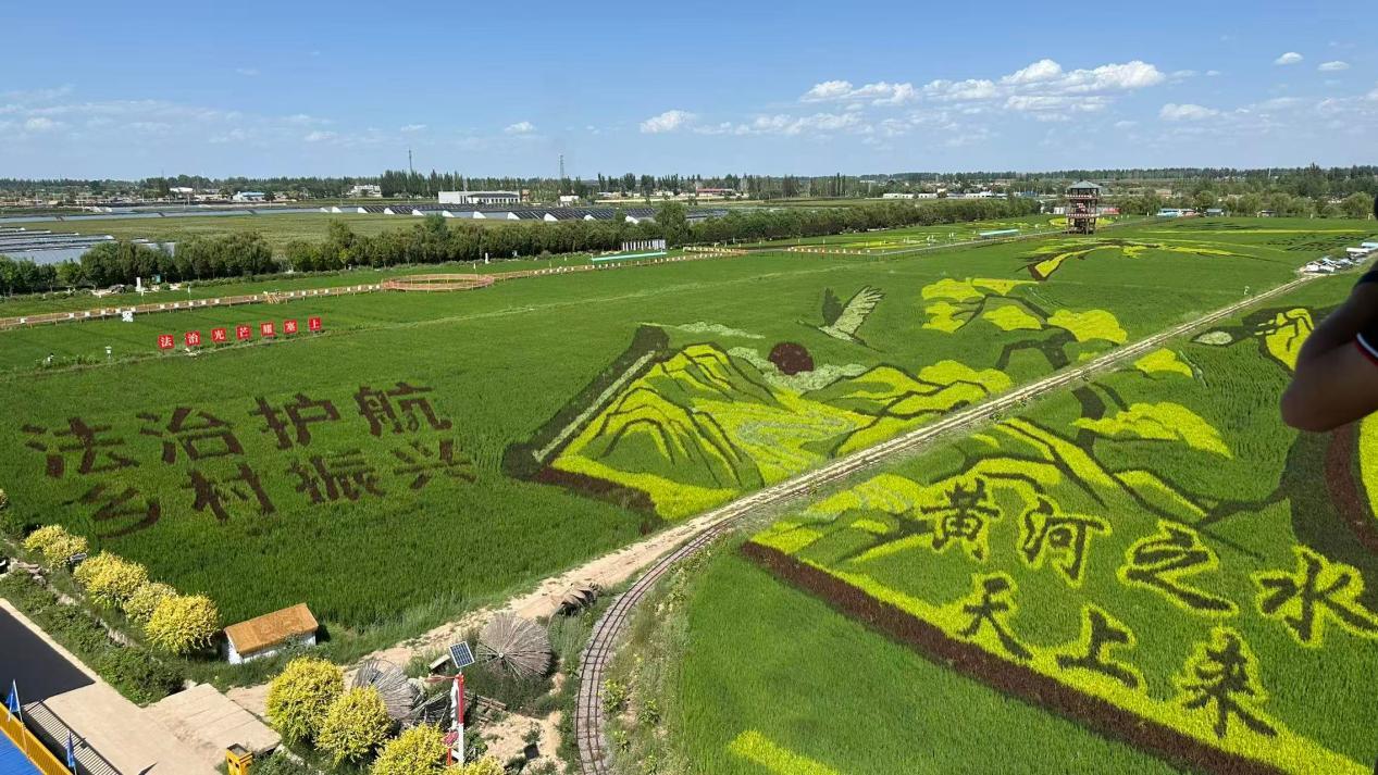 E法同行 法润塞上丨银川:法治光芒照耀塞上江南