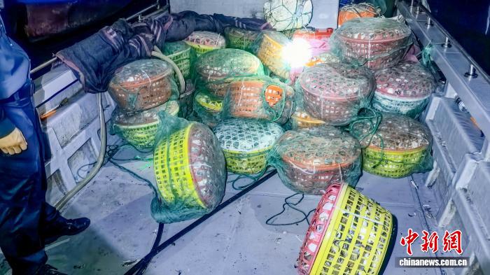 浙江海警查获2起非法捕捞水产品案 渔获物近6000斤
