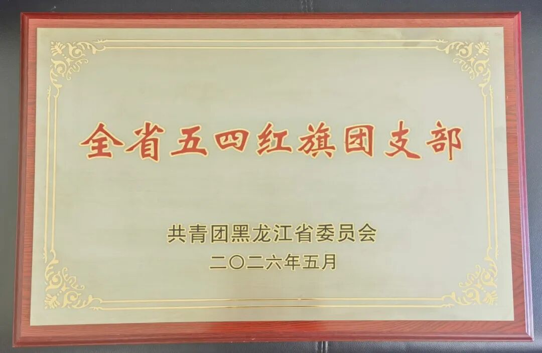 喜报!东宁市人民法院团支部荣获“全省五四红旗团支部”荣誉称号