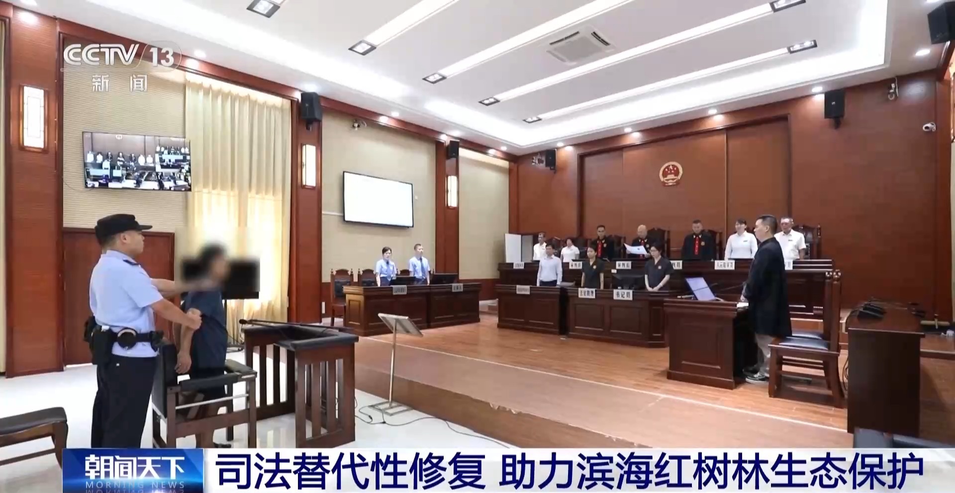 “破坏者”变“守护者” 司法替代性修复助力红树林生态保护