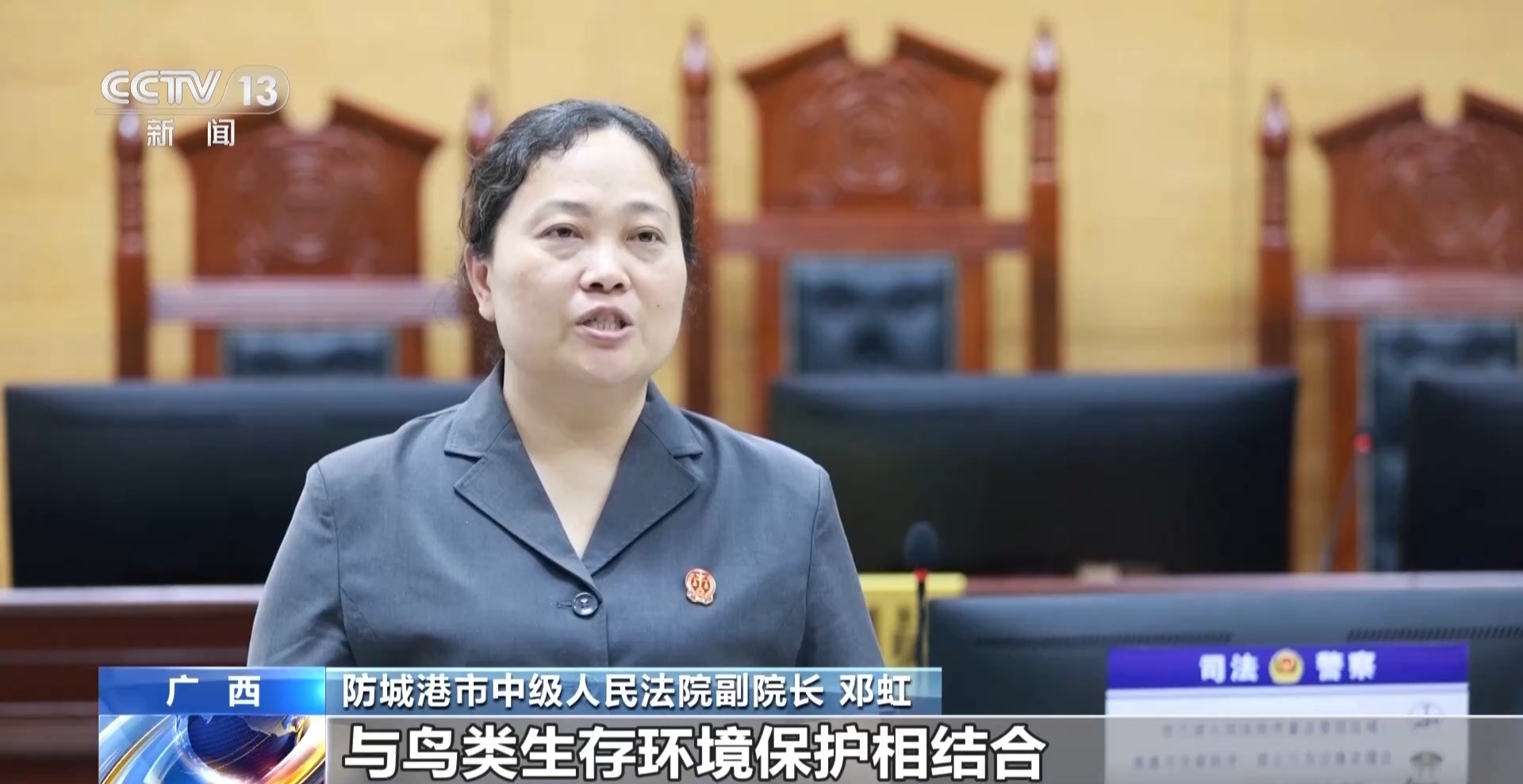 “破坏者”变“守护者” 司法替代性修复助力红树林生态保护