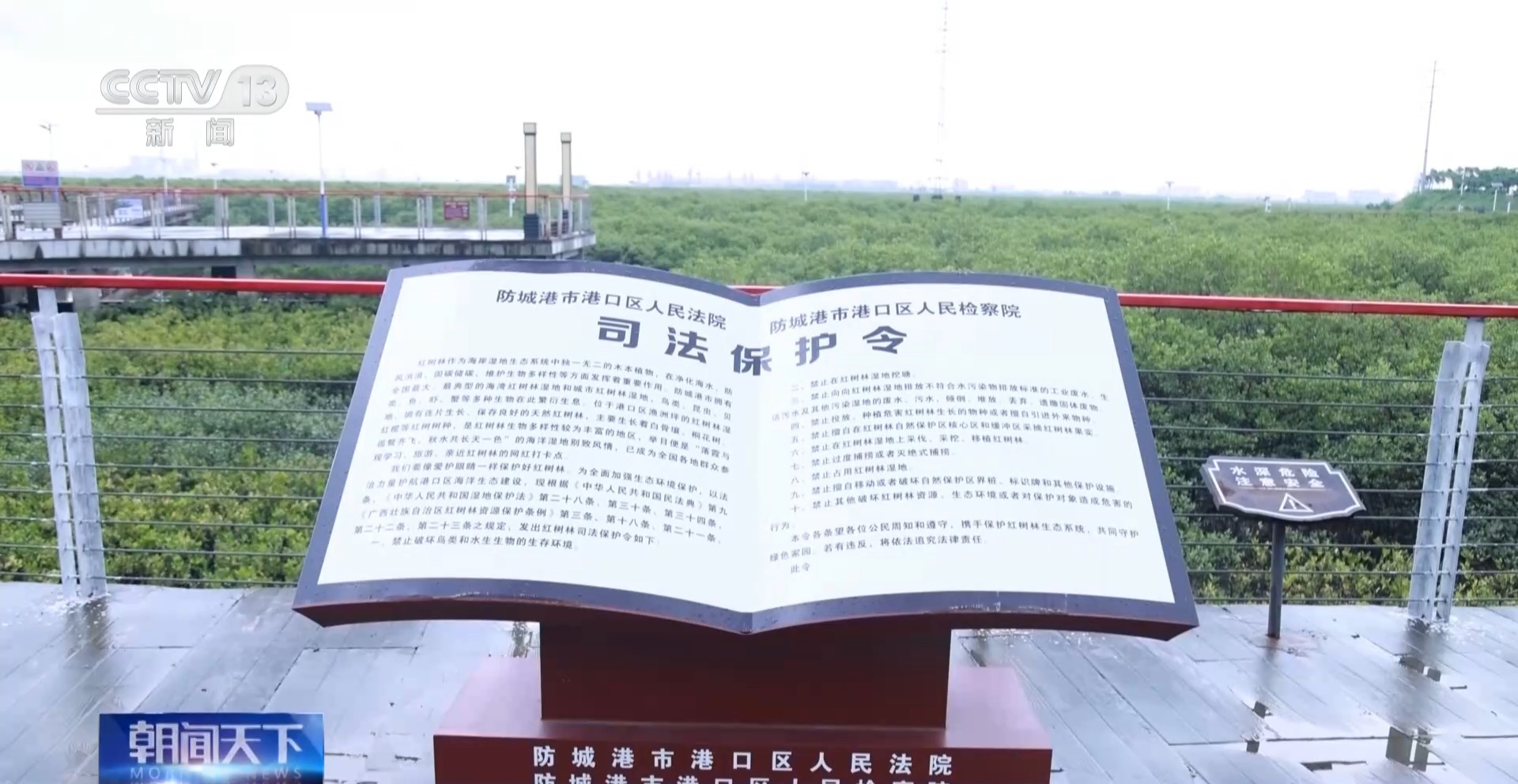 “破坏者”变“守护者” 司法替代性修复助力红树林生态保护