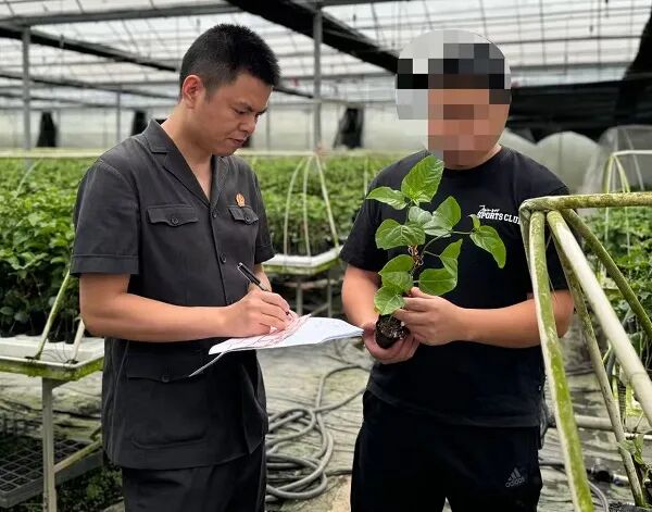 以知产之火,燃创新之光