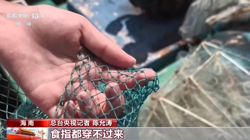 地笼泛滥 红树林保护区竟成赶海“乐园”!记者调查