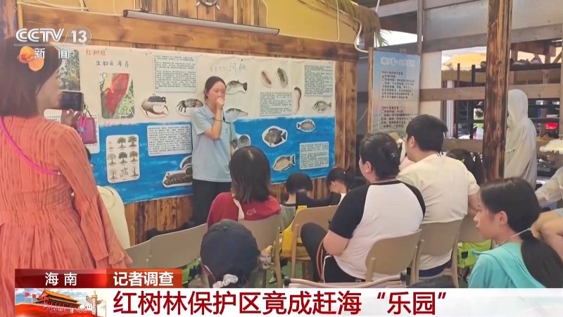地笼泛滥 红树林保护区竟成赶海“乐园”!记者调查