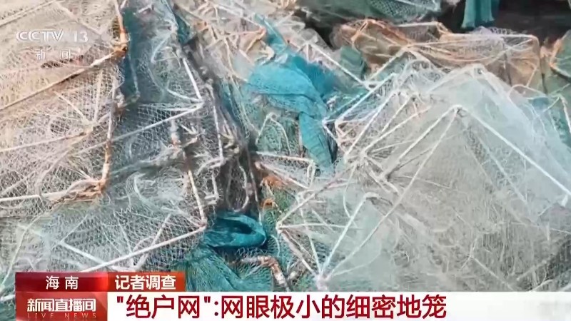 地笼泛滥 红树林保护区竟成赶海“乐园”!记者调查