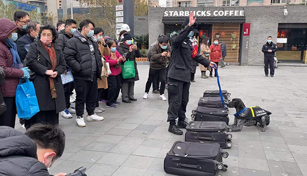 “马世奇”组合与魔都k9警犬队联动宣传“反诈+反炸”