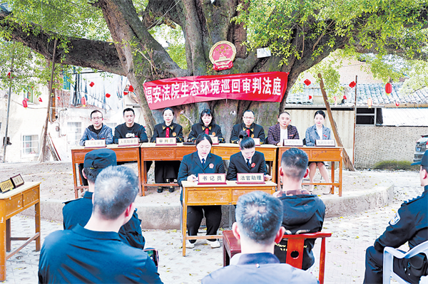 宁德法院奋力谱写能动司法新篇章