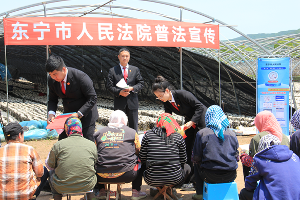 黑龙江省东宁市人民法院老黑山人民法庭： 打出系列“组合拳” 挥就乡村振兴大“治”慧