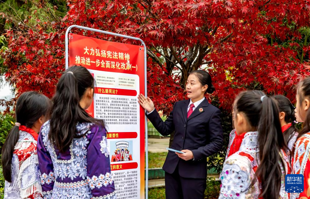 多种活动迎接国家宪法日