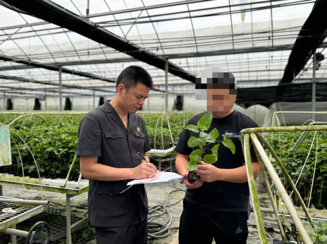 植树节特辑 | 司法 “种” 出新希望