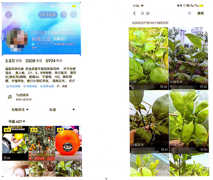 植树节特辑 | 司法 “种” 出新希望