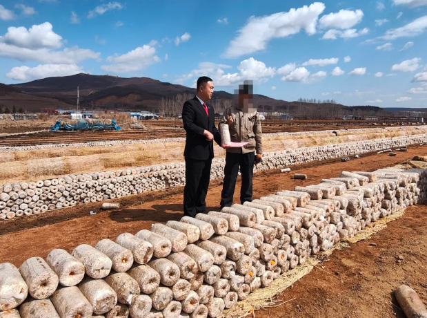 东宁市人民法院老黑山法庭：投身边疆治理，打造“三兴”法庭
